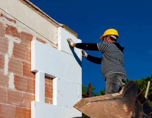 Best Insulation Removal  in Sylva, NC