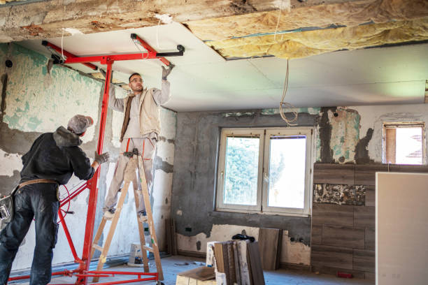 Best Best Insulation Companies  in Sylva, NC
