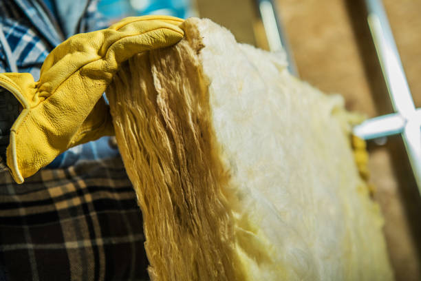 Best Insulation Replacement Services  in Sylva, NC