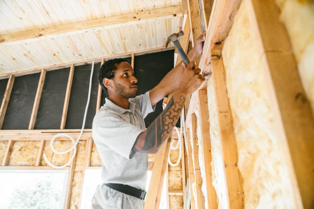 Best Insulation Inspection Services  in Sylva, NC