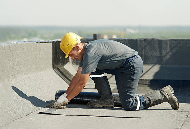Best Wall Insulation Contractor  in Sylva, NC