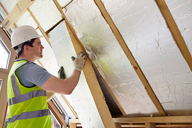 Best Insulation Contractor Near Me  in Sylva, NC