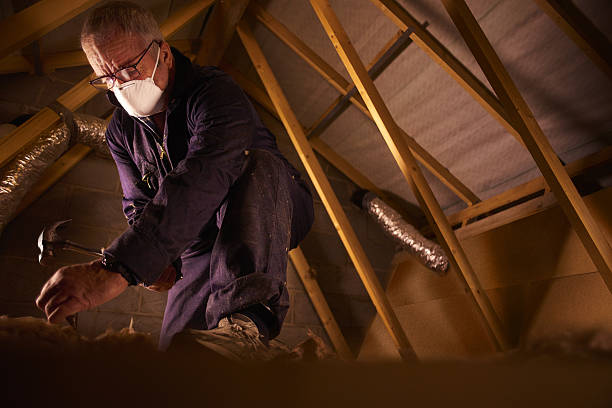 Best Insulation Repair Services  in Sylva, NC